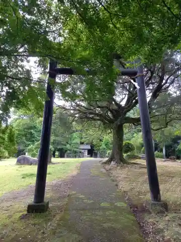 神明神社(神奈川県)