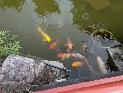 妙満寺(京都府)