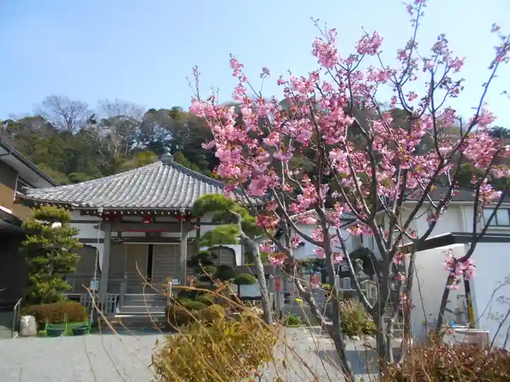 来迎寺(材木座)の自然