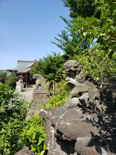 鷺宮八幡神社の狛犬