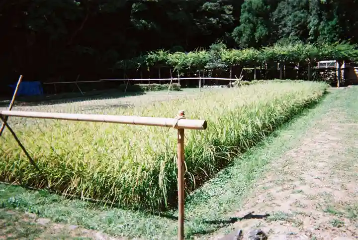 猿田彦神社の庭園