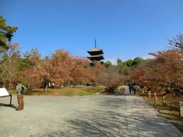 仁和寺(京都府)