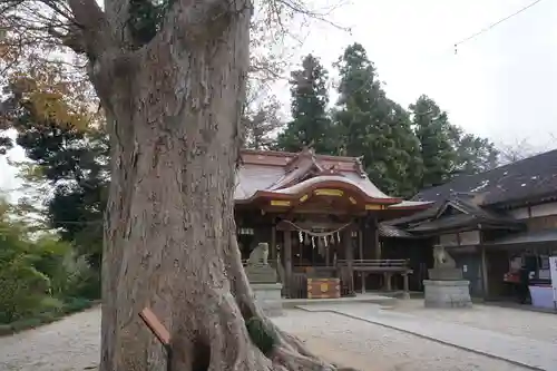 素鵞神社の本殿・本堂