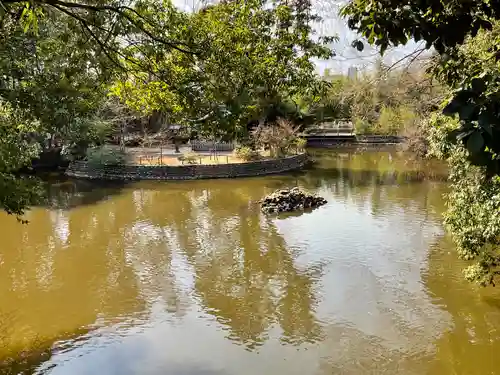 武蔵一宮氷川神社(埼玉県)