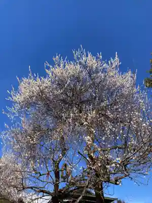 法輪寺(神奈川県)
