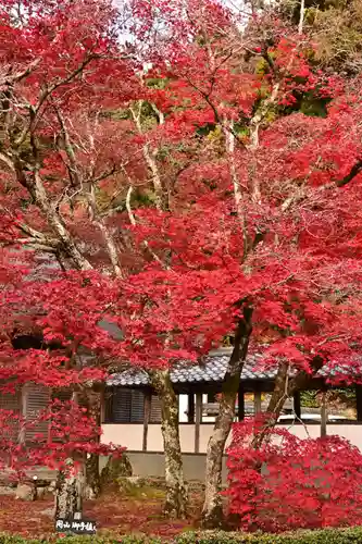 永源寺(滋賀県)