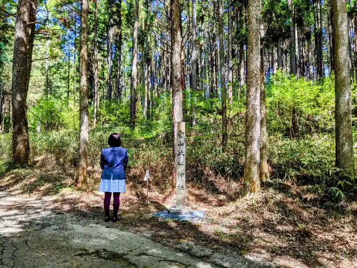 白山比咩神社の自然