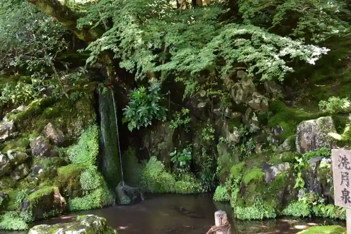 慈照寺(慈照禅寺・銀閣寺)(京都府)