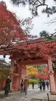 真正極楽寺(真如堂)(京都府)