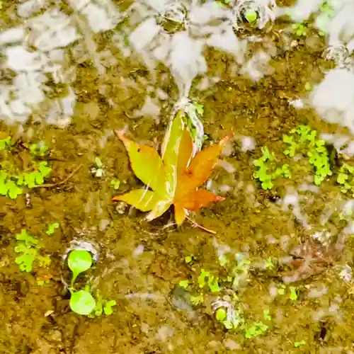 土津神社｜こどもと出世の神さまの自然