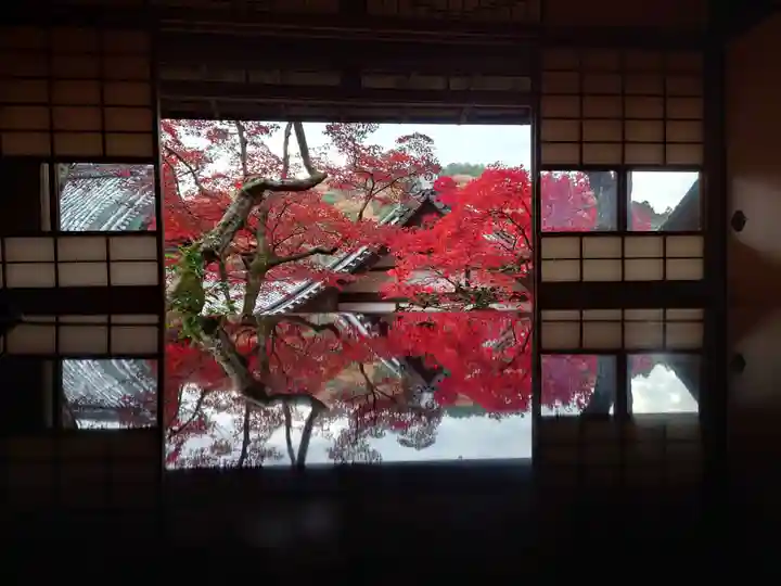 柳谷観音 楊谷寺(京都府)
