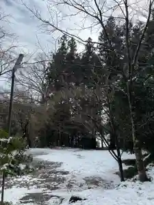 大宮温泉神社(栃木県)(2024年03月06日(水) 14時18分29秒投稿)