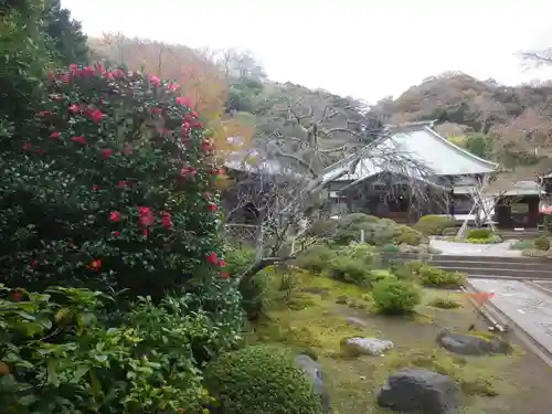 海蔵寺の庭園