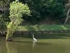 牟禮山観音禅寺の景色