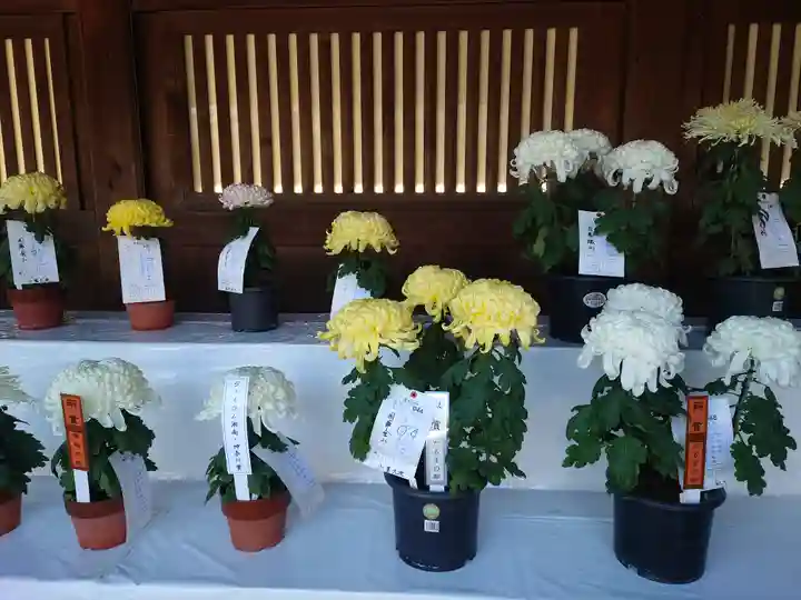 寒川神社(神奈川県)