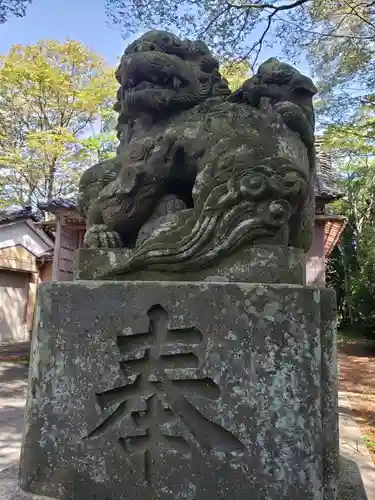 満志麻川神社の狛犬