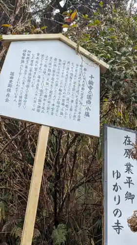 十輪寺(京都府)