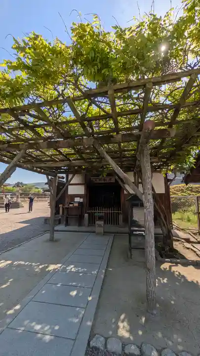 興福寺(奈良県)