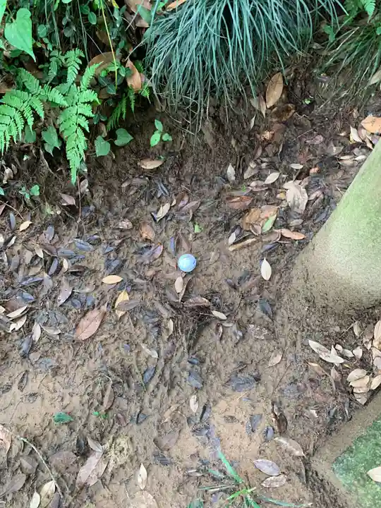 八幡神社(千葉県)