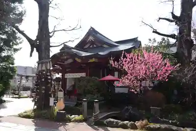 素盞雄神社(東京都)