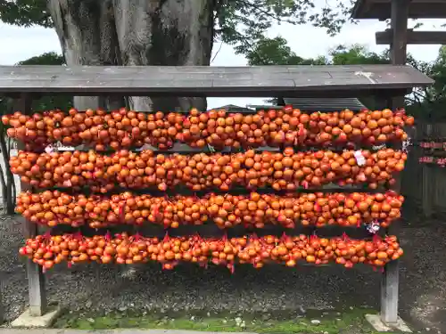 盛岡八幡宮のおみくじ