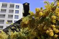 蔵前神社の自然