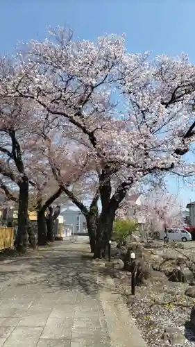 普済寺の庭園