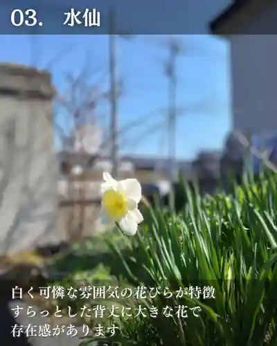 宝光寺(北海道)