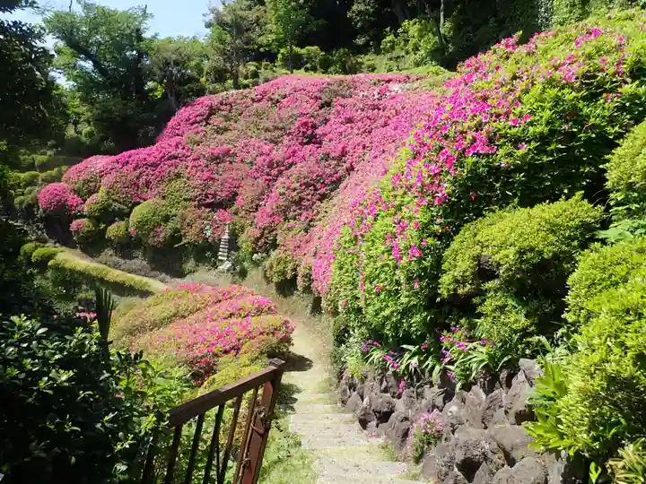 仏行寺(佛行寺)(神奈川県)
