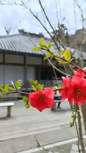 明月院の{uncategorized: "未分類", other: "その他", undefined: "問題あり", building: "その他建物", grave: "お墓", sacred_gate: "鳥居", guardian: "狛犬", statue: "像", buddha: "仏像", history: "歴史", nature: "自然", garden: "庭園", animal: "動物", pagoda: "塔", temizu: "手水舎", mountain_gate: "山門・神門", sanctuary: "本殿・本堂", subordinate: "末社・摂社", art: "芸術", scenery: "景色", jizo: "地蔵", ema: "絵馬", goshuin: "御朱印", omikuji: "おみくじ", items: "授与品その他", amulet: "お守り", goshuincho: "御朱印帳", eats: "食事", festival: "お祭り", votive_dance: "神楽", shichigosan: "七五三参", wedding: "結婚式", experience: "体験その他", initially: "初詣", around: "周辺", anti_infection: "感染症対策"}