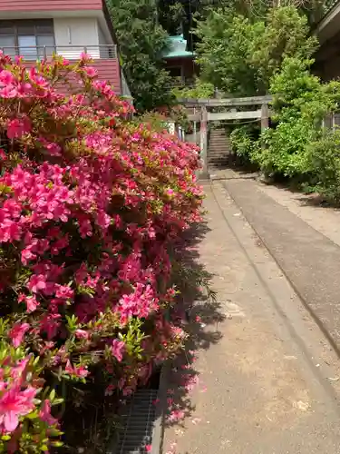 大船熊野神社(神奈川県)