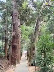 日吉神社(千葉県)