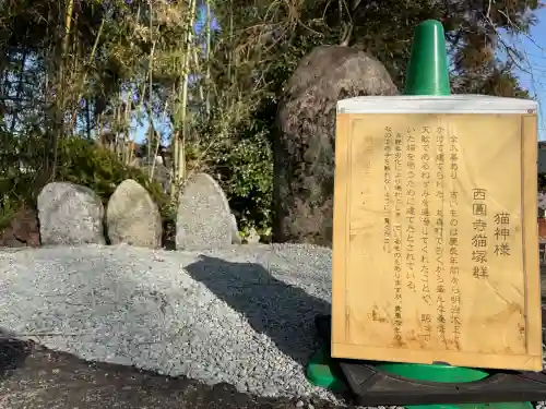 西円寺の{uncategorized: "未分類", other: "その他", undefined: "問題あり", building: "その他建物", grave: "お墓", sacred_gate: "鳥居", guardian: "狛犬", statue: "像", buddha: "仏像", history: "歴史", nature: "自然", garden: "庭園", animal: "動物", pagoda: "塔", temizu: "手水舎", mountain_gate: "山門・神門", sanctuary: "本殿・本堂", subordinate: "末社・摂社", art: "芸術", scenery: "景色", jizo: "地蔵", ema: "絵馬", goshuin: "御朱印", omikuji: "おみくじ", items: "授与品その他", amulet: "お守り", goshuincho: "御朱印帳", eats: "食事", festival: "お祭り", votive_dance: "神楽", shichigosan: "七五三参", wedding: "結婚式", experience: "体験その他", initially: "初詣", around: "周辺", anti_infection: "感染症対策"}