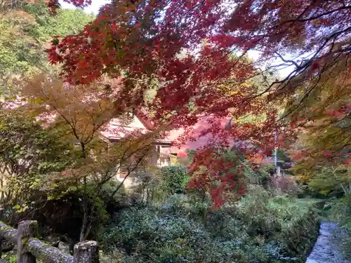 龍蔵寺(兵庫県)