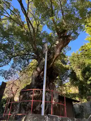 土肥神社(静岡県)
