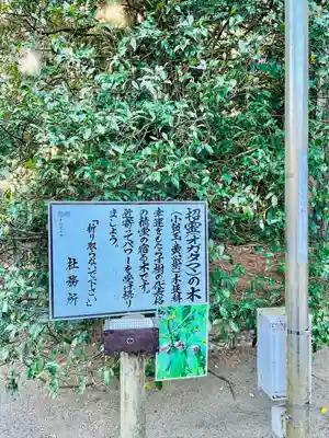 息栖神社(茨城県)