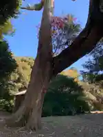 熊野神社(千葉県)