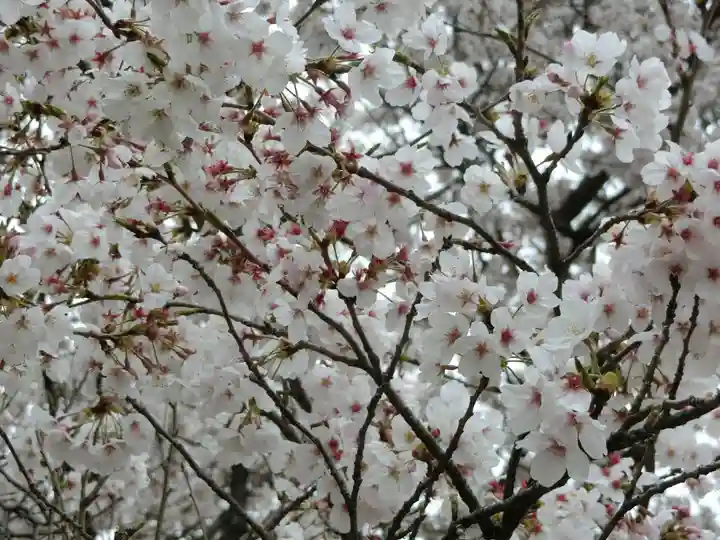 東蕗田天満社の自然