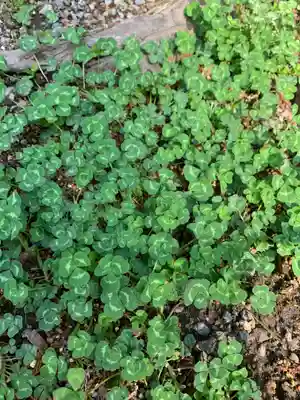 日光二荒山神社(栃木県)