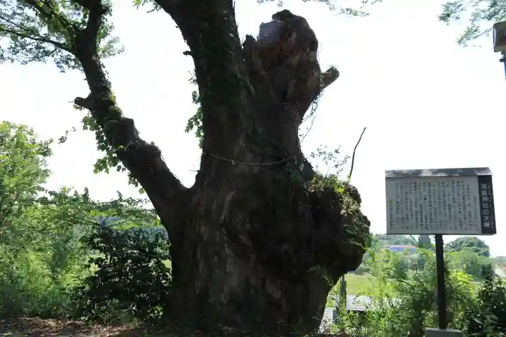 浮島神社の自然