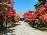 東寺(教王護国寺)の{uncategorized: "未分類", other: "その他", undefined: "問題あり", building: "その他建物", grave: "お墓", sacred_gate: "鳥居", guardian: "狛犬", statue: "像", buddha: "仏像", history: "歴史", nature: "自然", garden: "庭園", animal: "動物", pagoda: "塔", temizu: "手水舎", mountain_gate: "山門・神門", sanctuary: "本殿・本堂", subordinate: "末社・摂社", art: "芸術", scenery: "景色", jizo: "地蔵", ema: "絵馬", goshuin: "御朱印", omikuji: "おみくじ", items: "授与品その他", amulet: "お守り", goshuincho: "御朱印帳", eats: "食事", festival: "お祭り", votive_dance: "神楽", shichigosan: "七五三参", wedding: "結婚式", experience: "体験その他", initially: "初詣", around: "周辺", anti_infection: "感染症対策"}