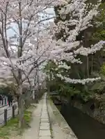 大豊神社の自然
