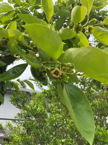 興禅寺(愛知県)