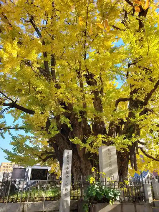 善福寺(東京都)