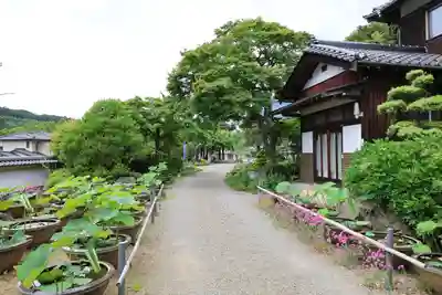 瀧泉寺(埼玉県)