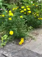 木舟山 順教寺の自然