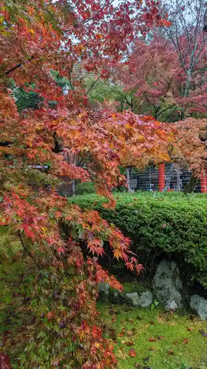 大原野神社(京都府)