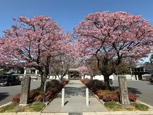 普門院の{uncategorized: "未分類", other: "その他", undefined: "問題あり", building: "その他建物", grave: "お墓", sacred_gate: "鳥居", guardian: "狛犬", statue: "像", buddha: "仏像", history: "歴史", nature: "自然", garden: "庭園", animal: "動物", pagoda: "塔", temizu: "手水舎", mountain_gate: "山門・神門", sanctuary: "本殿・本堂", subordinate: "末社・摂社", art: "芸術", scenery: "景色", jizo: "地蔵", ema: "絵馬", goshuin: "御朱印", omikuji: "おみくじ", items: "授与品その他", amulet: "お守り", goshuincho: "御朱印帳", eats: "食事", festival: "お祭り", votive_dance: "神楽", shichigosan: "七五三参", wedding: "結婚式", experience: "体験その他", initially: "初詣", around: "周辺", anti_infection: "感染症対策"}