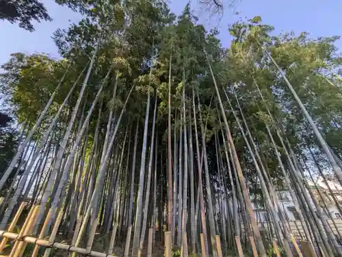 勝光院(東京都)