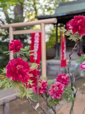 愛染院(東京都)